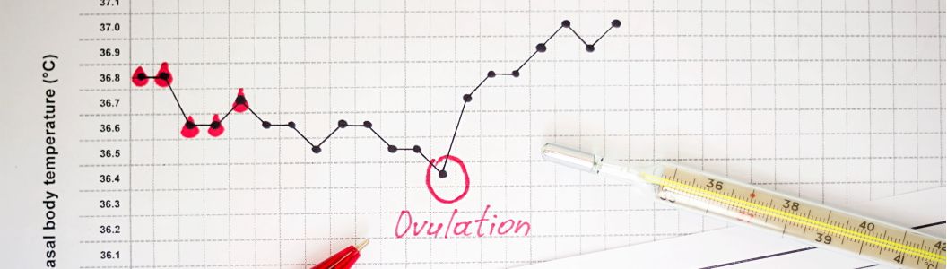 Как определить с какой стороны овуляция с одной трубой без узи