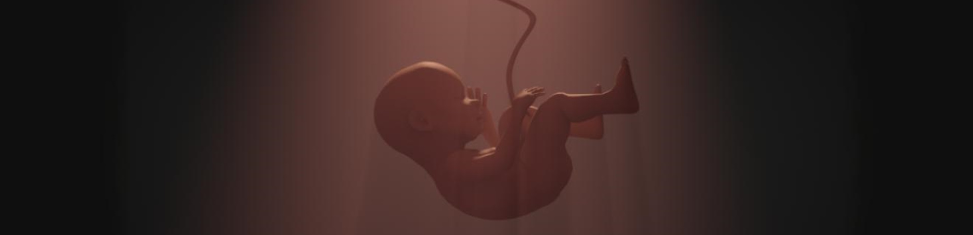 Околоплодные воды: состав и функции амниотической жидкости