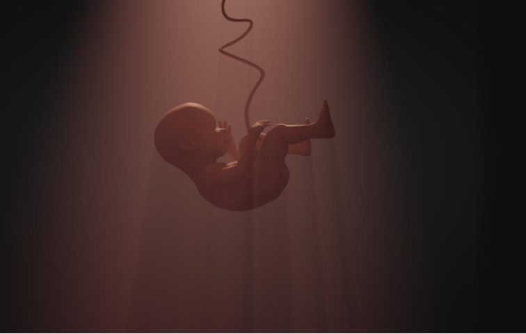 Околоплодные воды: состав и функции амниотической жидкости